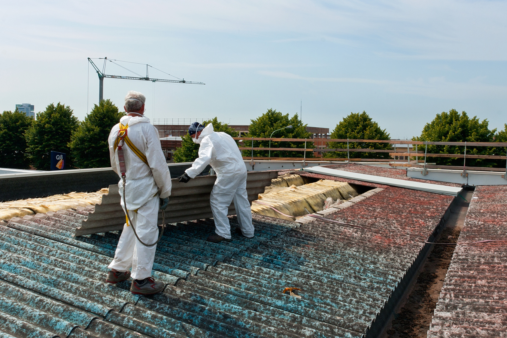 asbestos removal sydney