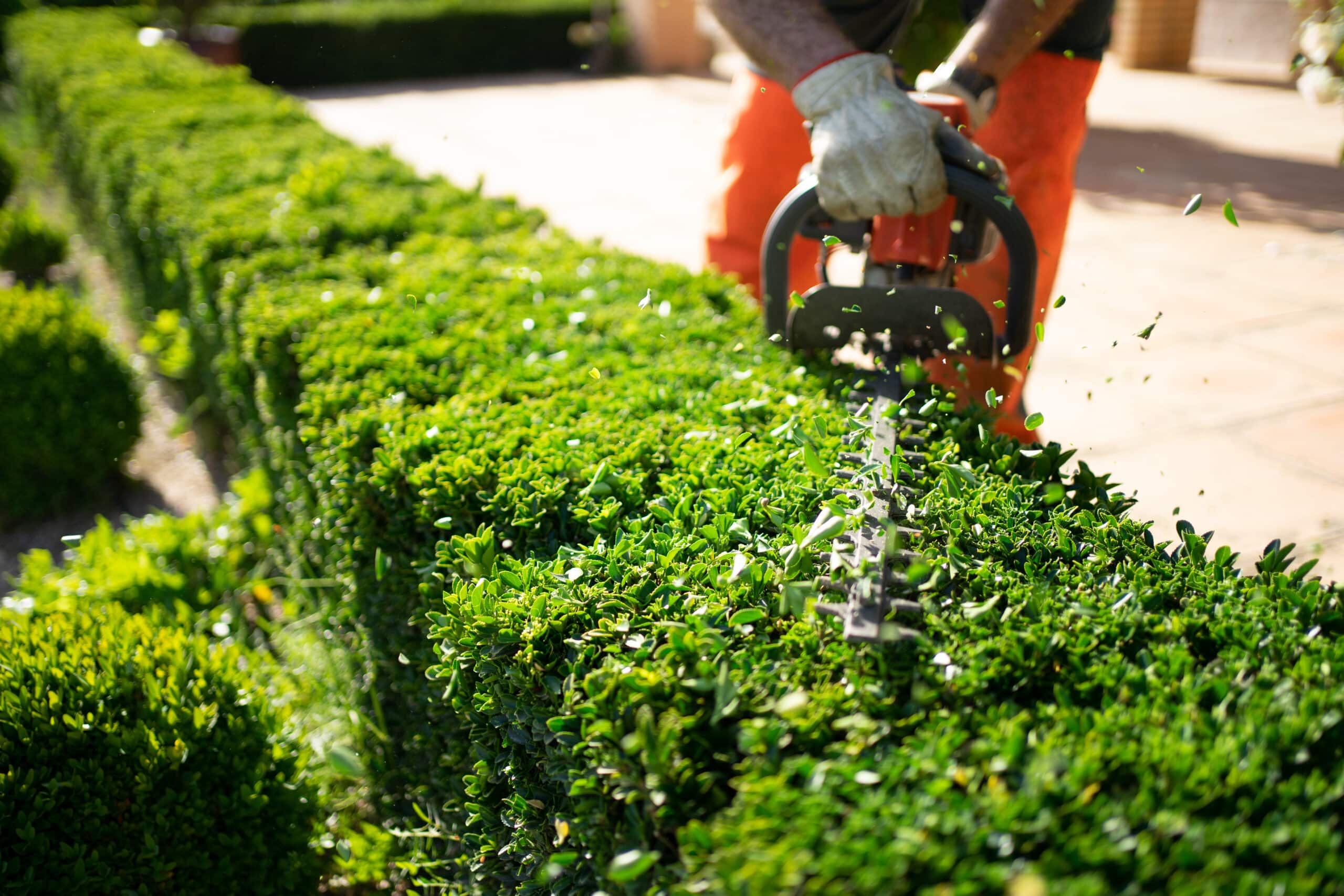 garden landscaping sydney