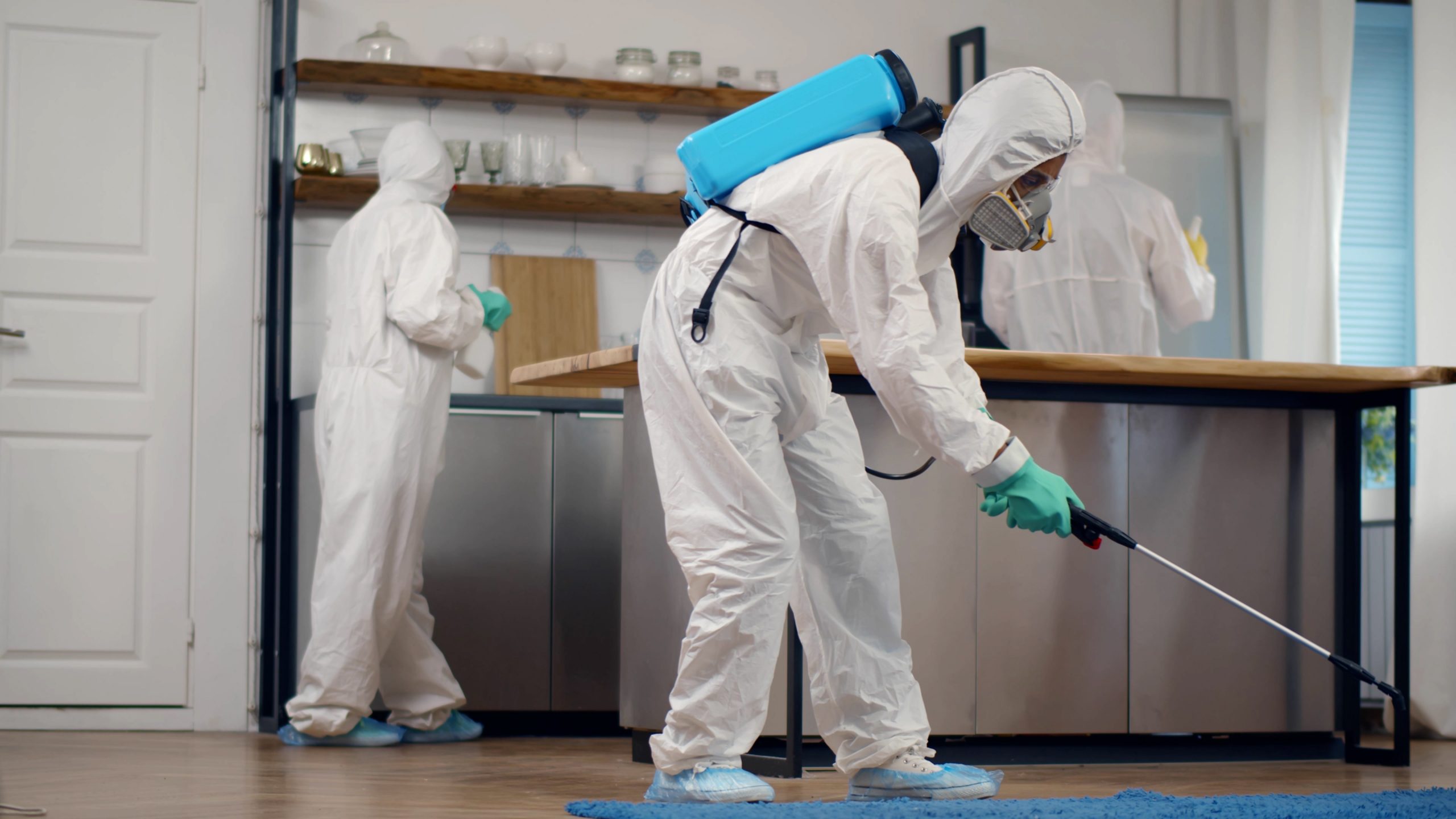 pest control services sydney